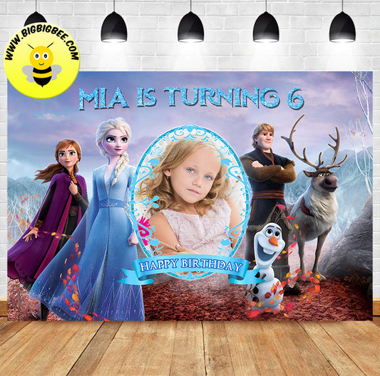 Custom Frozen Anna Elsa Theme Birthday Backdrop Add Picture Banner Deliver to USA UK Australia Canada