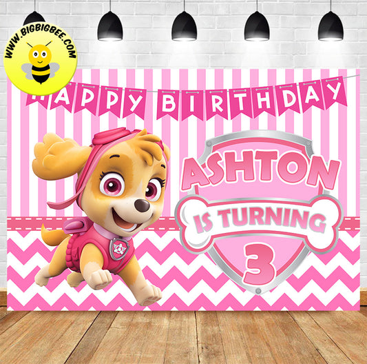 Custom Paw Patrol Skye Pink Theme Birthday Backdrop