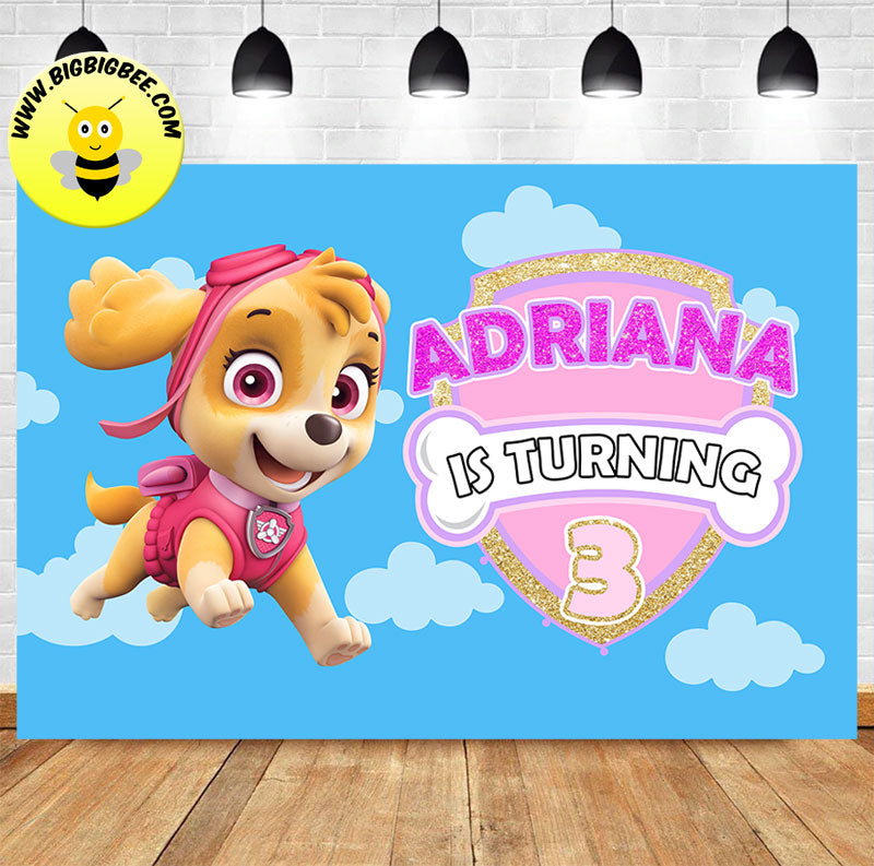 Custom Paw Patrol Skye Blue Sky Theme Birthday Backdrop Banner