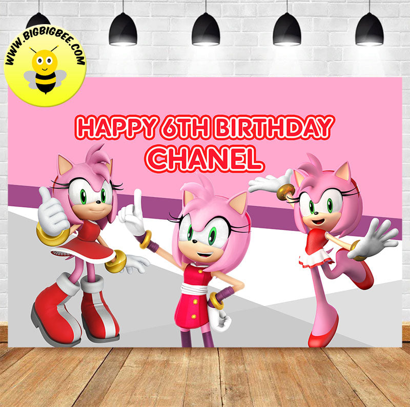 Custom Amy Rose Sonic the Hedgehog Theme Birthday Backdrop Banner
