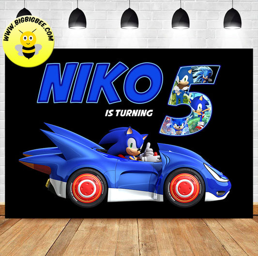 Custom Sonic & Sega All-Stars Racing Car Video Game Birthday Backdrop Banner
