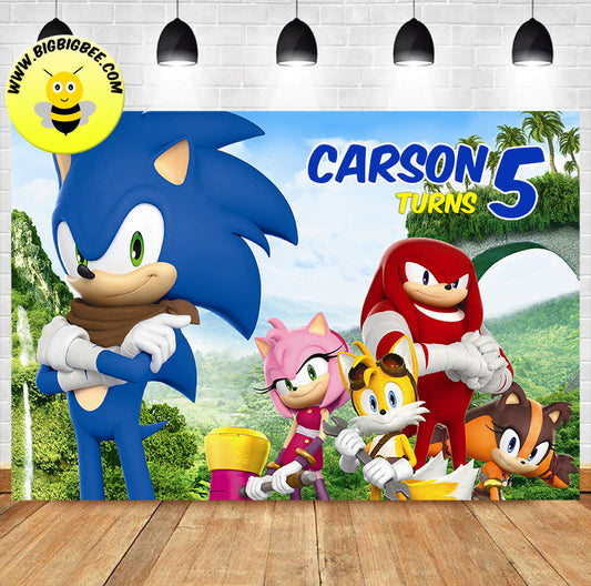 Custom Sonic Dash 2: Sonic Boom Theme Birthday Backdrop Banner