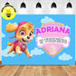 Custom Paw Patrol Skye Blue Sky Theme Birthday Backdrop Banner