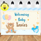 Custom Cute Teddy Bear Pacifier Balloon Theme Welcoming Baby Backdrop Banner