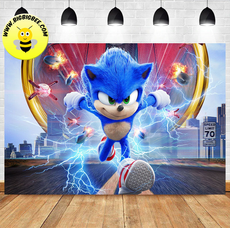 Custom Sonic the Hedgehog Film Movie Theme Birthday Backdrop Banner